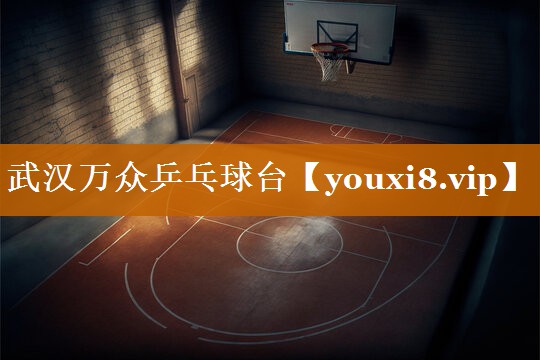 武汉万众乒乓球台